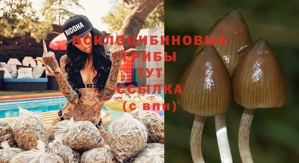 PSILOCYBIN Верхнеуральск