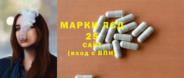 ГАЛЛЮЦИНОГЕННЫЕ ГРИБЫ Няндома