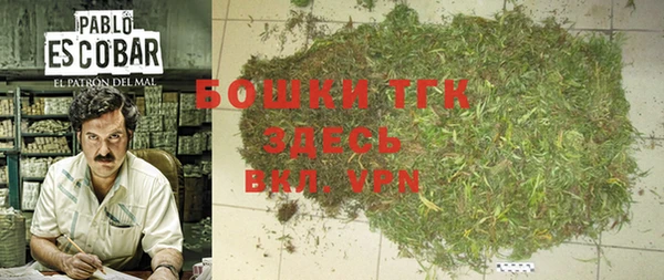 ГАЛЛЮЦИНОГЕННЫЕ ГРИБЫ Няндома