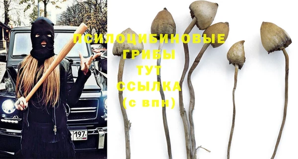 прущая мука Нязепетровск