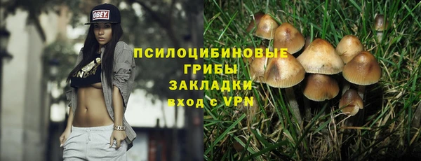 PSILOCYBIN Верхнеуральск