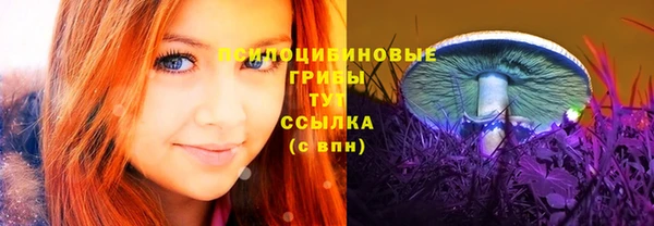 apvp Нягань