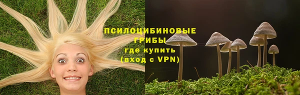 ГАЛЛЮЦИНОГЕННЫЕ ГРИБЫ Няндома