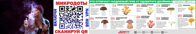 Псилоцибиновые грибы Cubensis  купить наркотик  Сортавала 