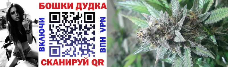 наркотики  Сортавала  Шишки марихуана Amnesia 